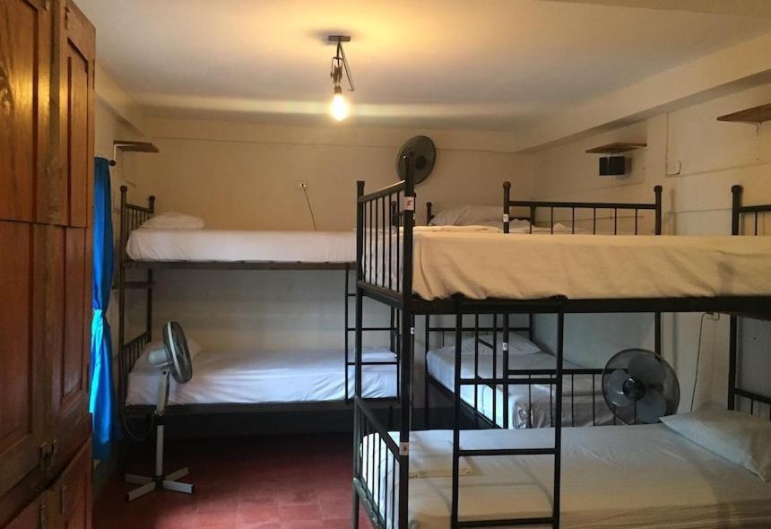 Hostal La Tortuga Booluda León Eksteriør billede